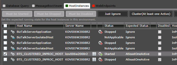 Clustered Host Instance Monitoring