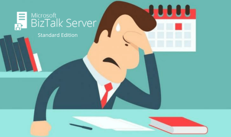 highlighting the key restrictions that are applicable to BizTalk Server Standard Edition